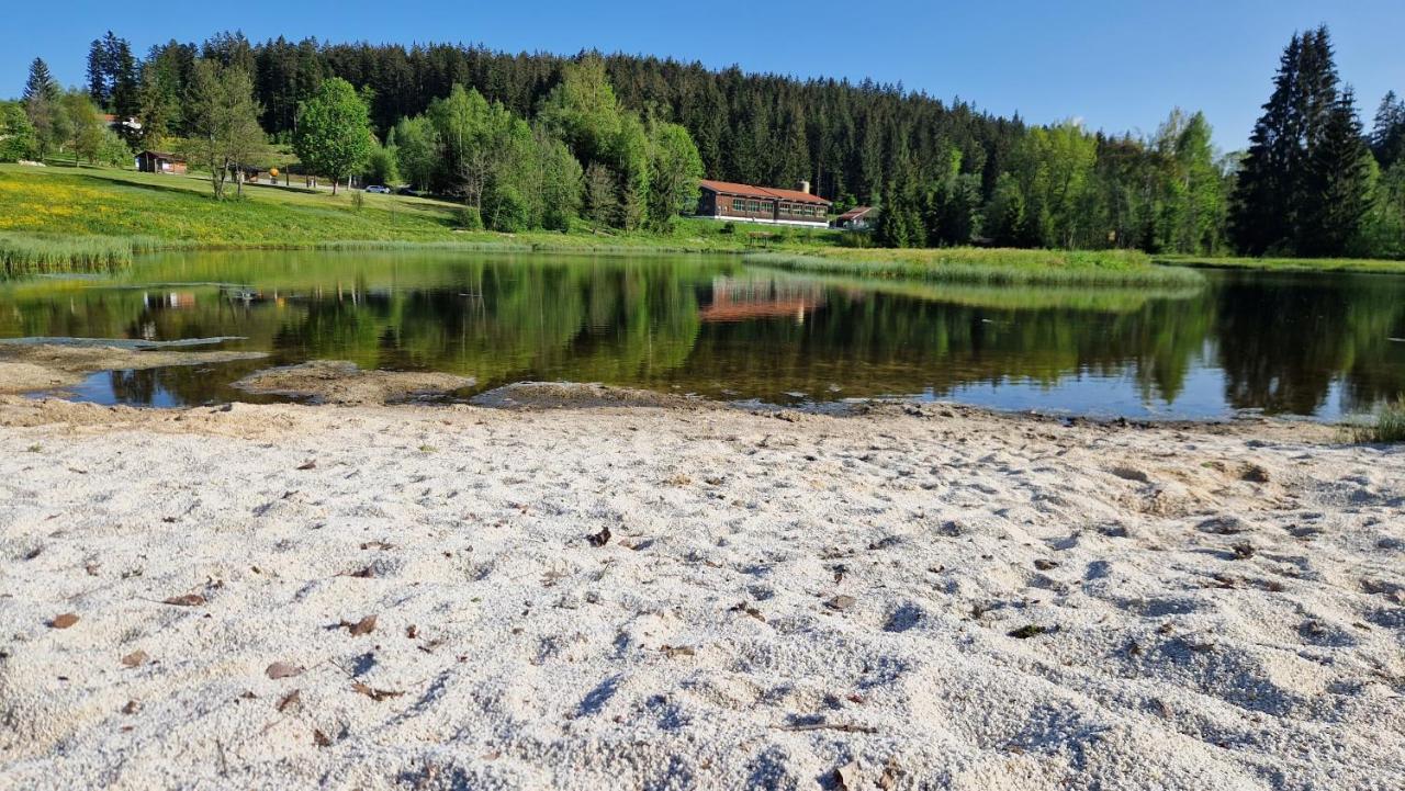 Two Apartaments Almberg - Mitterdorf-Митерфермиансройт Екстериор снимка